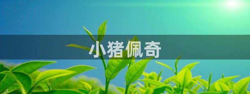 汗汗漫画www：小猪佩奇