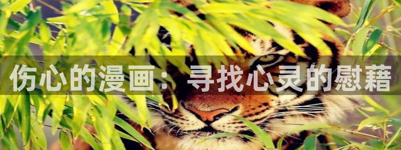 汗汗漫画免费观看页面看漫画下拉式
