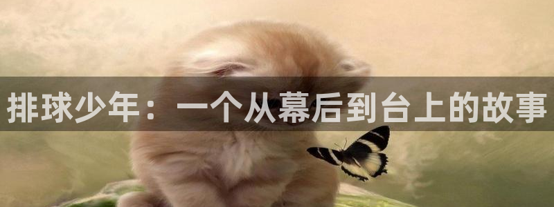 韩漫汗汗漫画免费：排球少年：一个从幕后到台上的故事