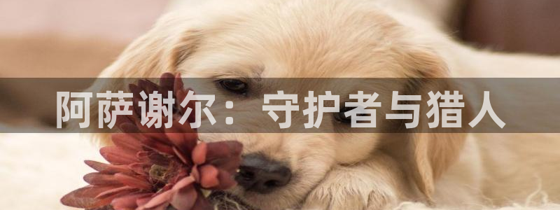 歪歪漫画 汗汗漫画：阿萨谢尔：守护者与猎人