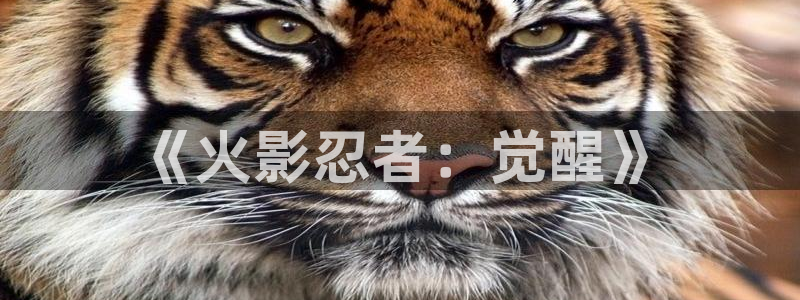 汗汗漫画免费在线阅读入口