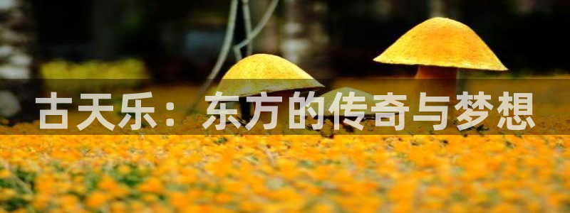 www.汗汗漫画.com