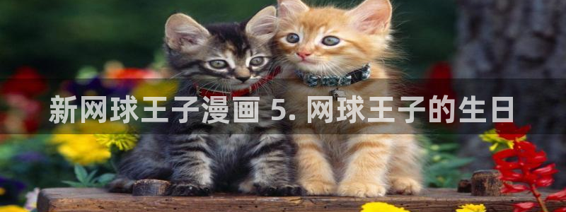 汗汗漫画破解版