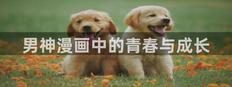 汗汗漫画最新版